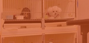 bnr_img002