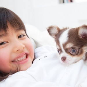 sp_image3