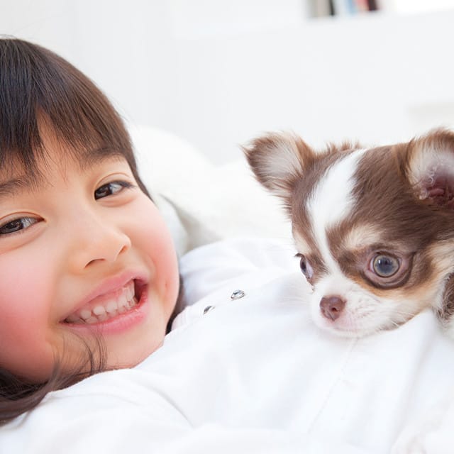 大切な愛犬を心をこめてお預かりいたします。